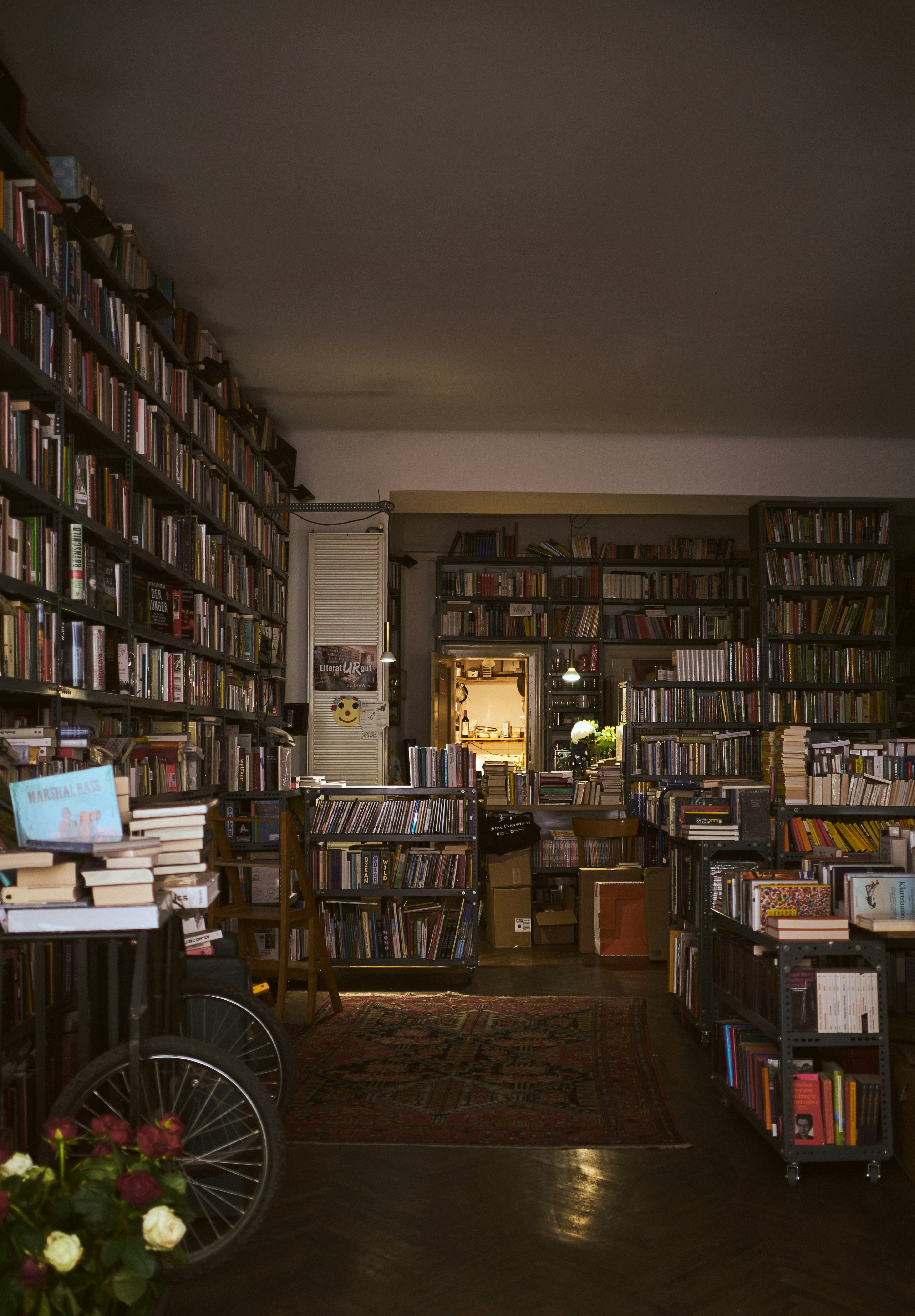 Reading by the window